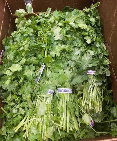 boxed-parsley